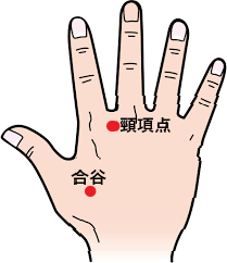 ツボ④：首のコリ